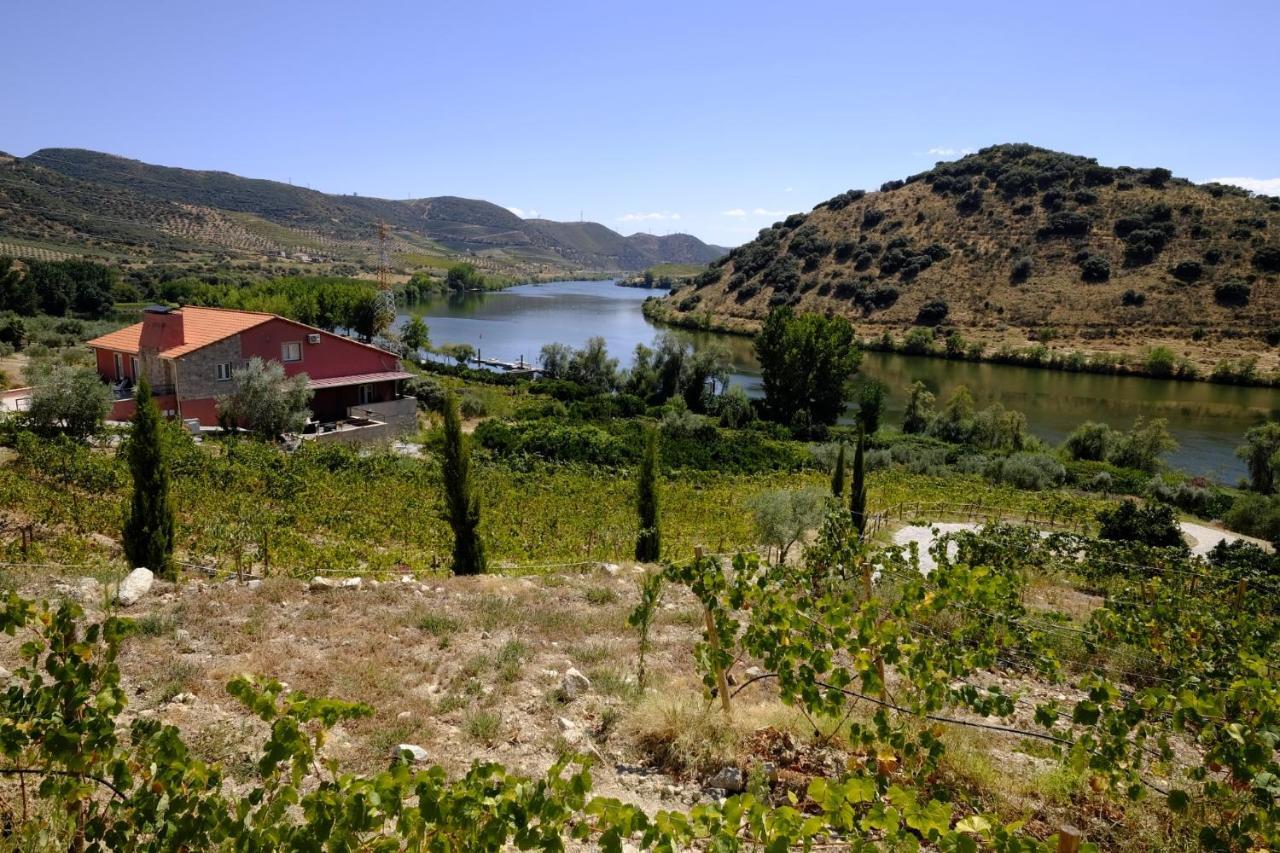 Гостевой дом Olhares Do Douro Торри-ди-Монкорву Экстерьер фото