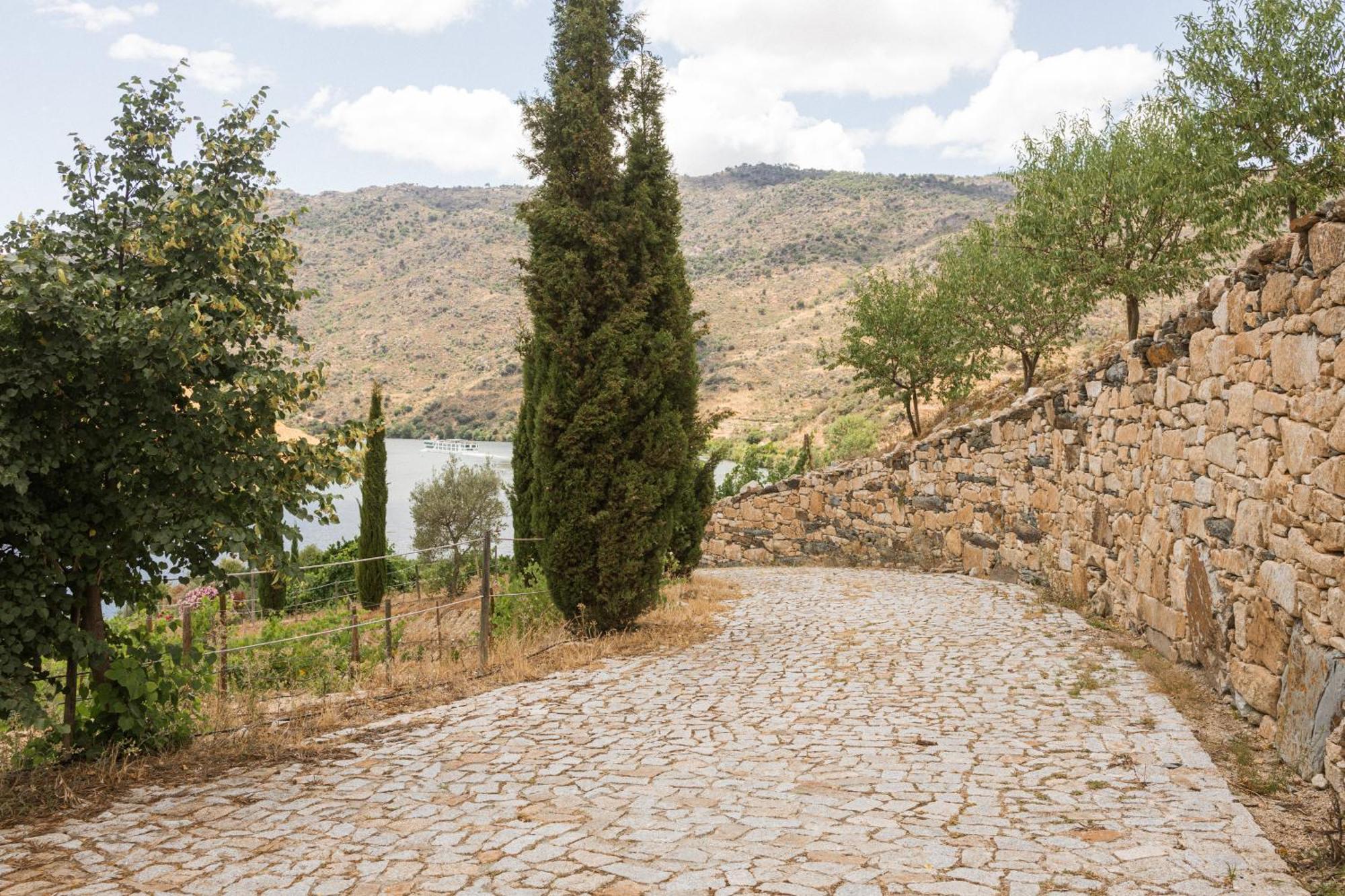 Гостевой дом Olhares Do Douro Торри-ди-Монкорву Экстерьер фото