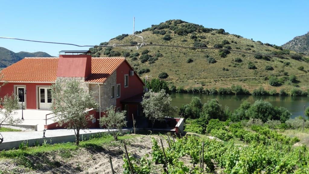 Гостевой дом Olhares Do Douro Торри-ди-Монкорву Экстерьер фото