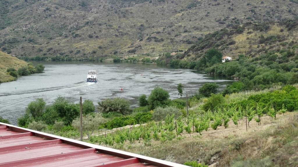 Гостевой дом Olhares Do Douro Торри-ди-Монкорву Экстерьер фото