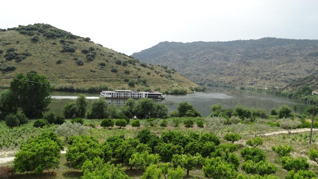 Гостевой дом Olhares Do Douro Торри-ди-Монкорву Экстерьер фото